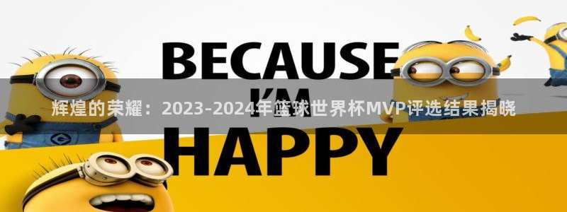 世界杯 2026：辉煌的荣耀：2023-2024年篮球世界杯MVP评选结果揭晓