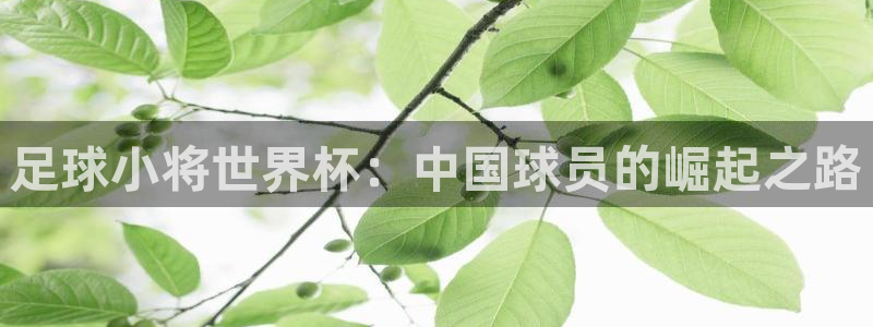 世界杯预选赛欧洲：足球小将世界杯：中国球员的崛起之路