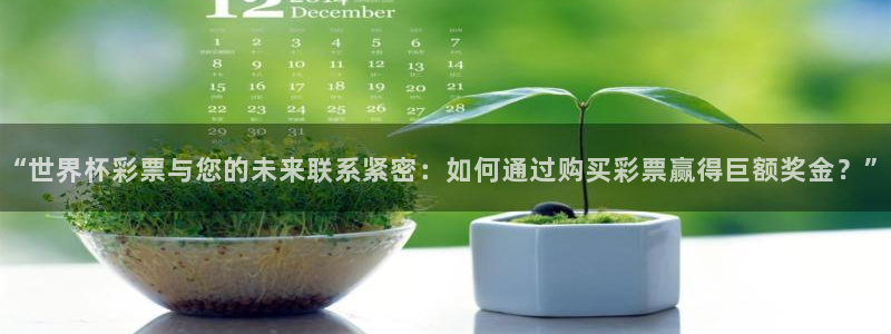世界杯欧洲区预选赛赛程：“世界杯彩票与您的未来联系紧密：如何通过购买彩票赢得巨额奖金？”
