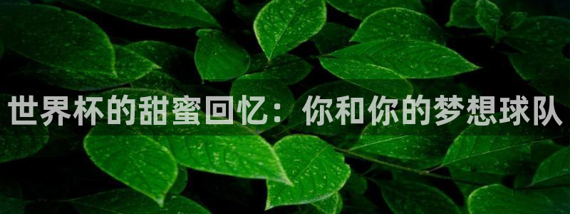 2026世界杯亚洲区预选赛：世界杯的甜蜜回忆：你和你的梦想球队