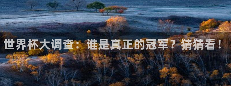 世界杯赛程表2026：世界杯大调查：谁是真正的冠军？猜猜看！