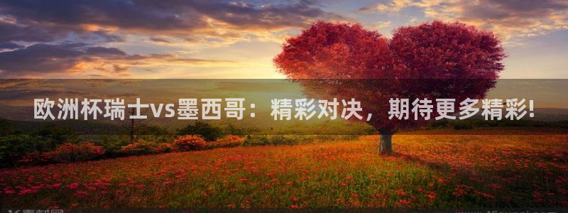世界杯 直播：欧洲杯瑞士vs墨西哥：精彩对决，期待更多精彩!