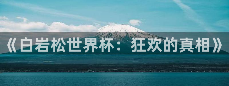今年世界杯：《白岩松世界杯：狂欢的真相》
