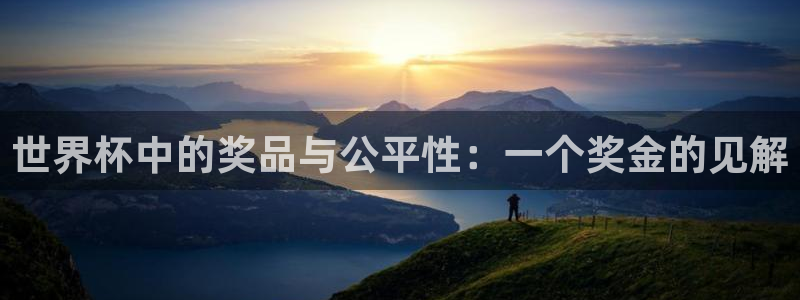 世界杯今年：世界杯中的奖品与公平性：一个奖金的见解