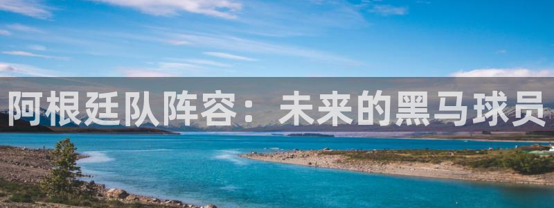 世界杯预选赛欧洲区赛程：阿根廷队阵容：未来的黑马球员