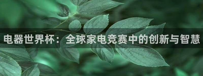 世界杯预选赛排名：电器世界杯：全球家电竞赛中的创新与智慧