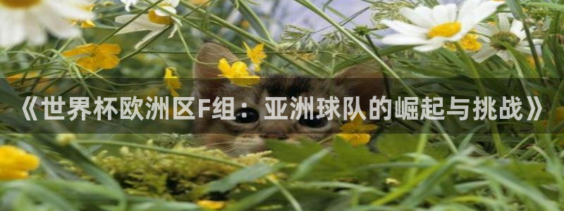 葡萄牙世界杯赛程：《世界杯欧洲区F组：亚洲球队的崛起与挑战》