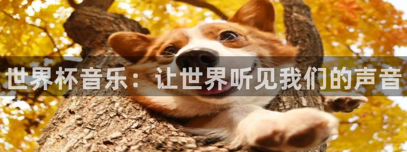 世界杯预选赛亚洲：世界杯音乐：让世界听见我们的声音