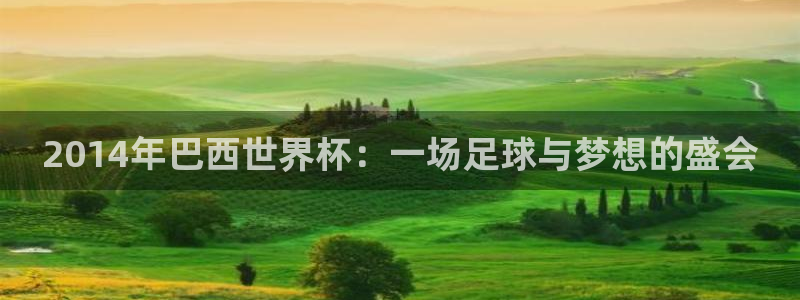 世界杯预选赛规则：2014年巴西世界杯：一场足球与梦想的盛会