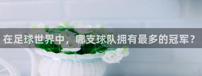 2026世界杯官网：在足球世界中，哪支球队拥有最多的冠军？