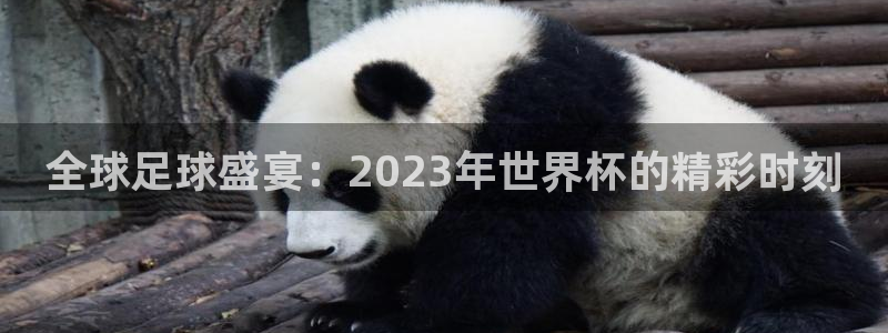 2026世界杯直播：全球足球盛宴：2023年世界杯的精彩时刻